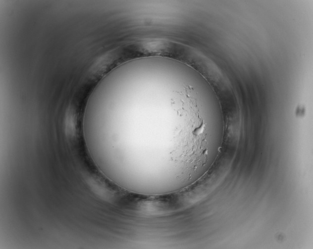 X0000103940408200809191422