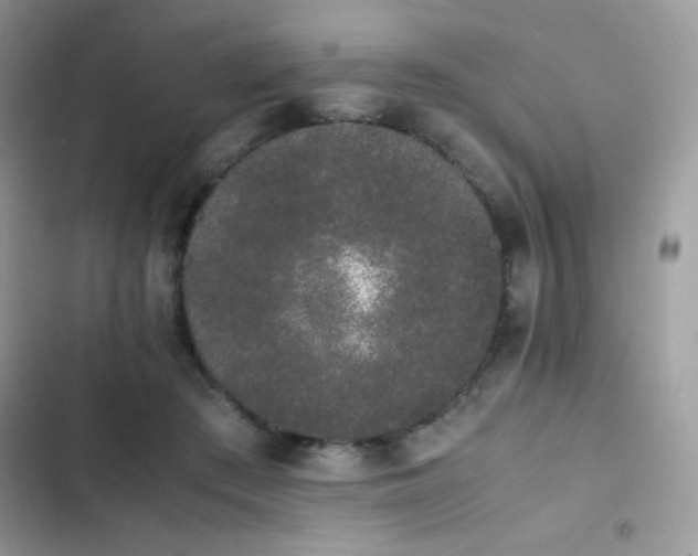 X0000103940409200809191422