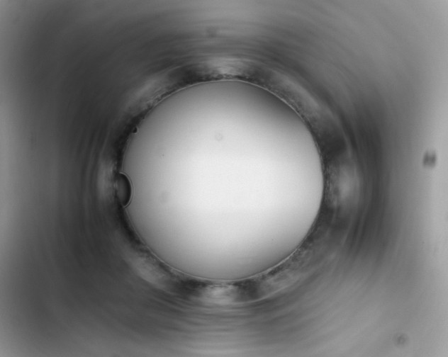 X0000103940410200809191422