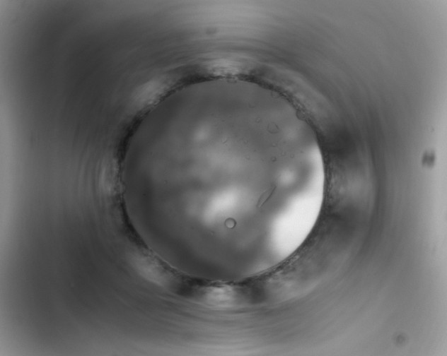 X0000103940411200809191421