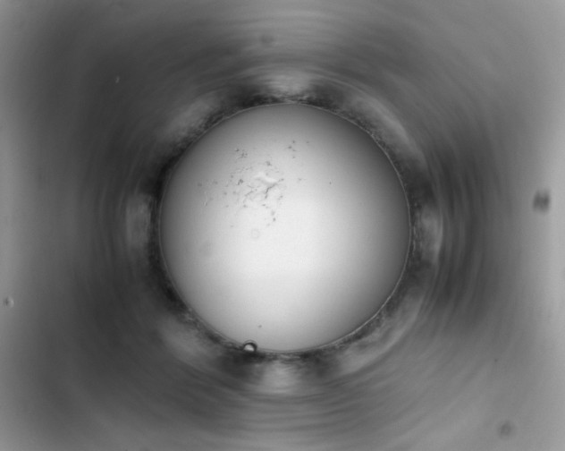 X0000103940412200809191421