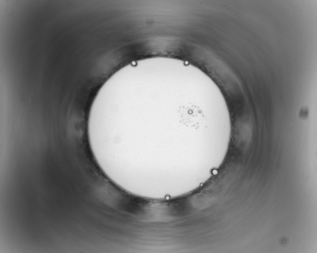 X0000103940413200809191421