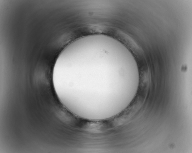 X0000103940414200809191421