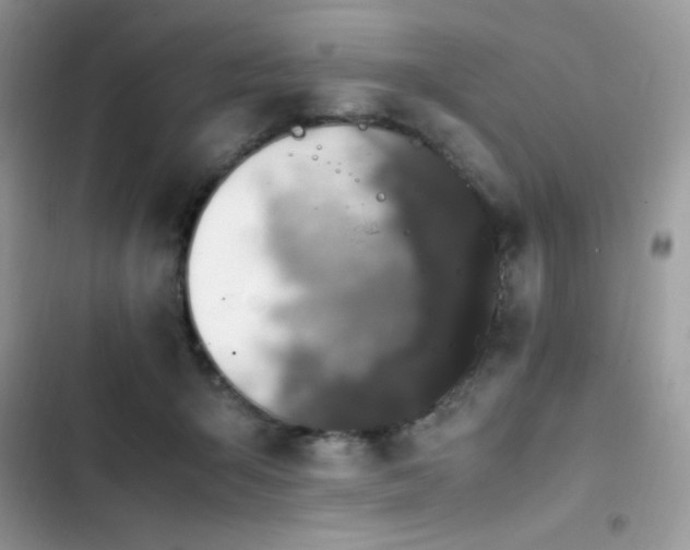 X0000103940415200809191421