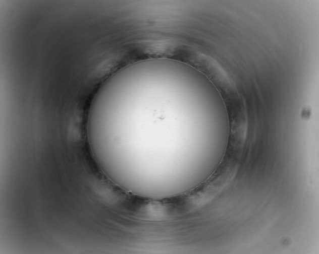 X0000103940416200809191421