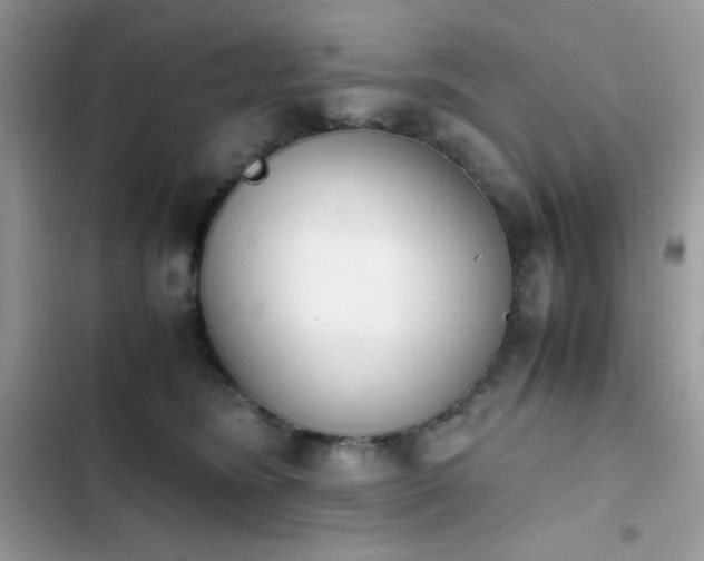 X0000103940420200809191421