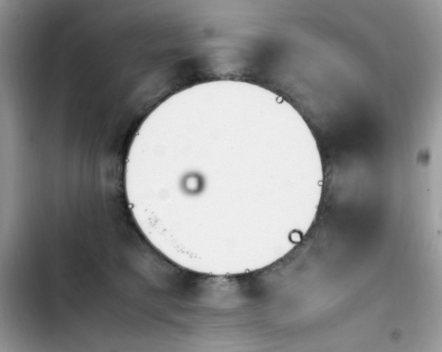 X0000103940421200809191421