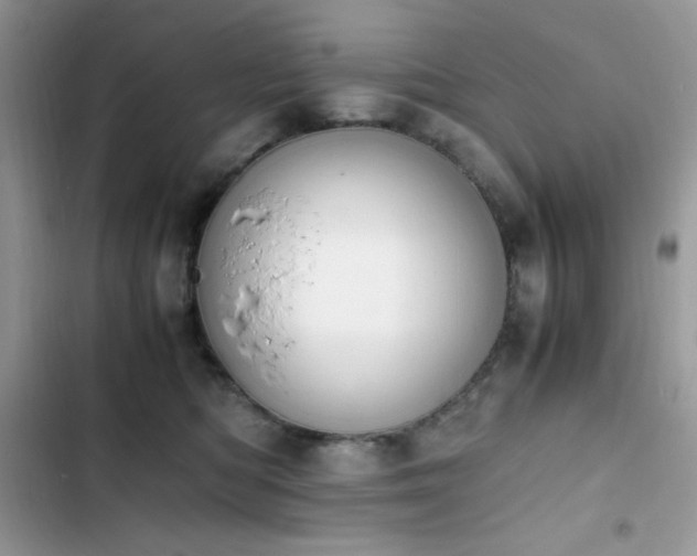 X0000103940422200809191421