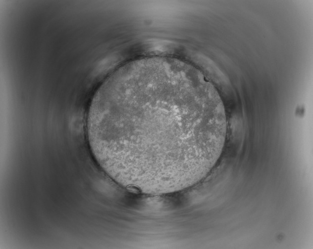 X0000103940423200809191421