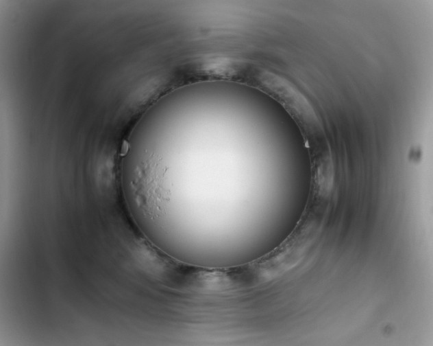 X0000103940424200809191421