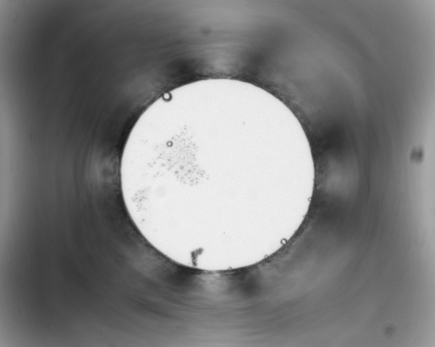 X0000103940425200809191421