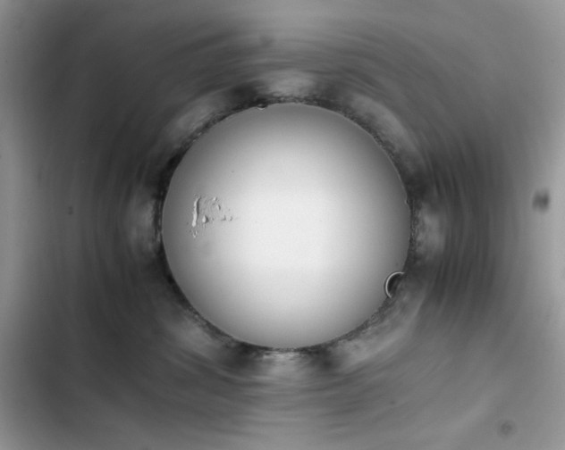 X0000103940428200809191421