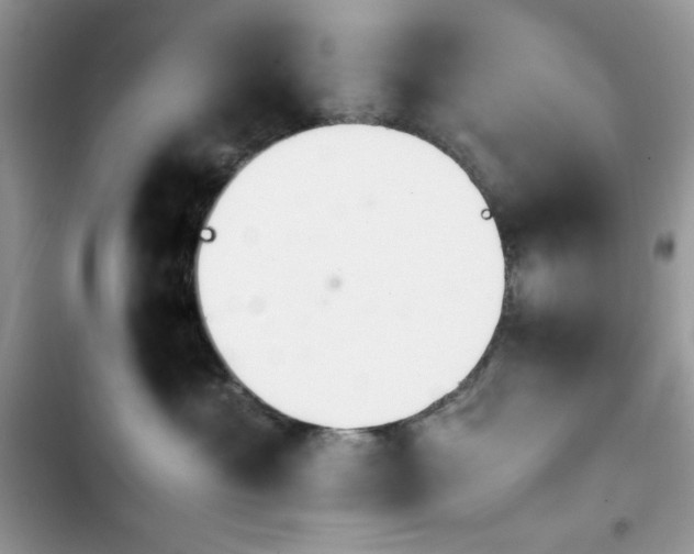 X0000103940429200809191421