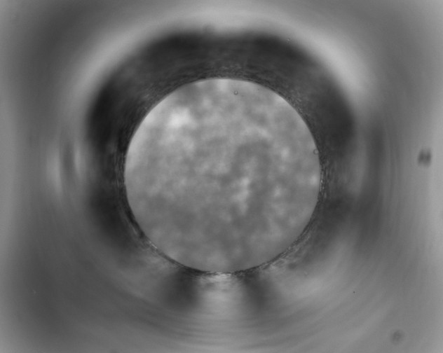 X0000103940431200809191421