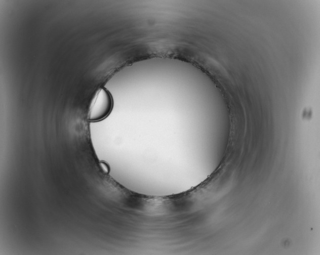 X0000103940432200809191421