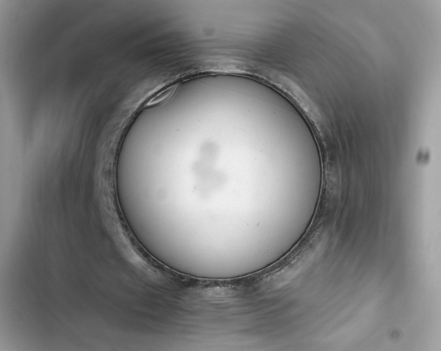 X0000103940433200809191421