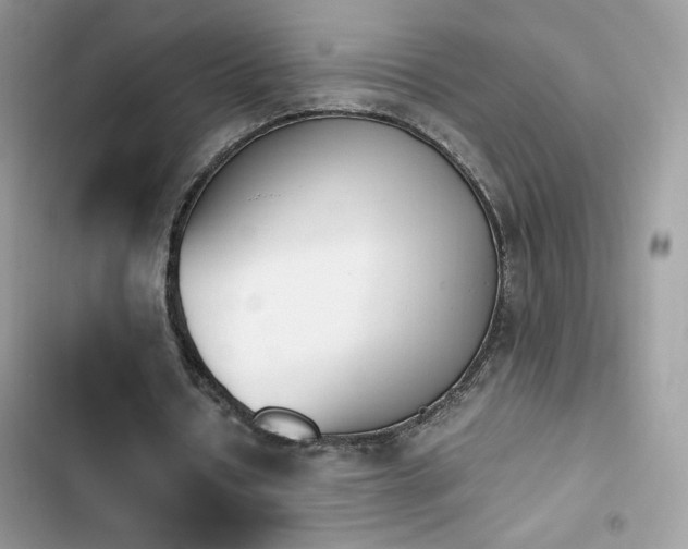 X0000103940434200809191421
