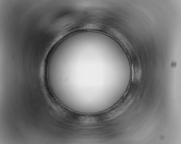 X0000103940435200809191421