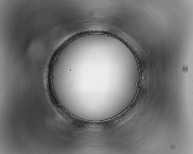 X0000103940436200809191421