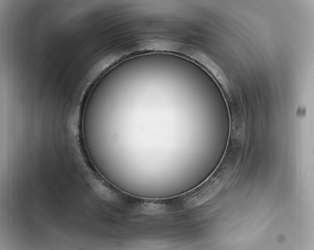 X0000103940437200809191421