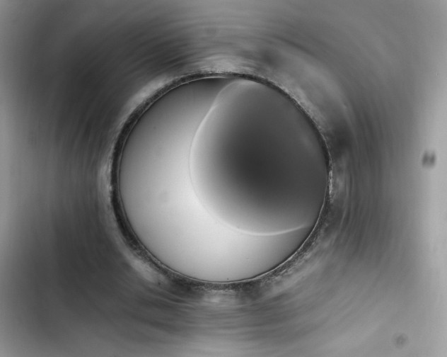 X0000103940438200809191421