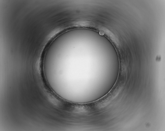 X0000103940439200809191421