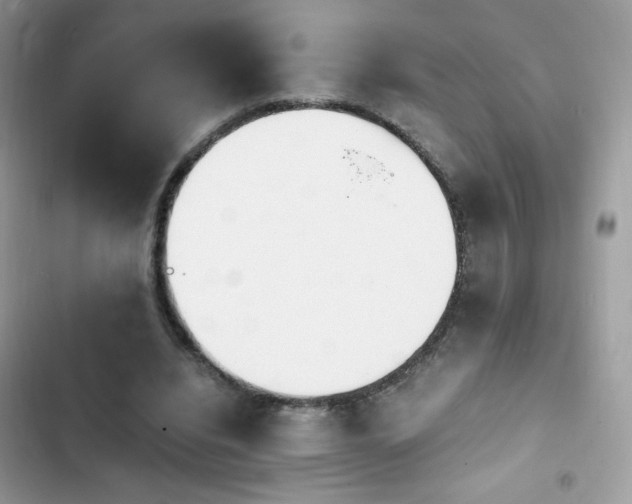X0000103940440200809191421