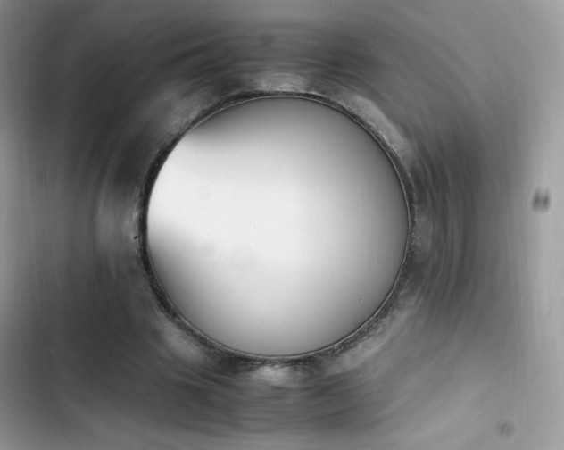 X0000103940441200809191421