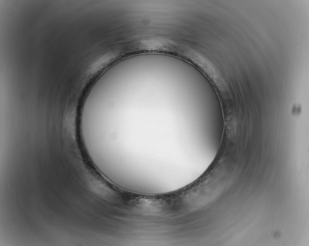X0000103940442200809191421