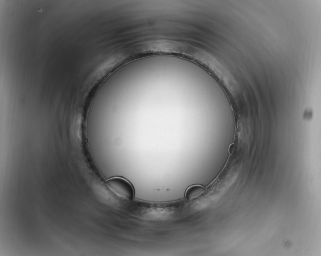 X0000103940445200809191421