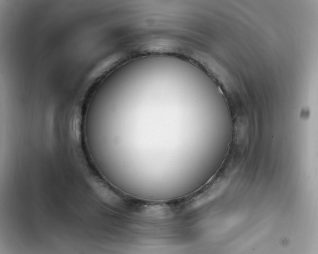 X0000103940446200809191421