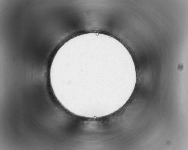 X0000103940448200809191421