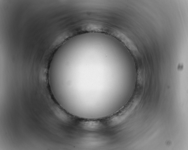 X0000103940449200809191421