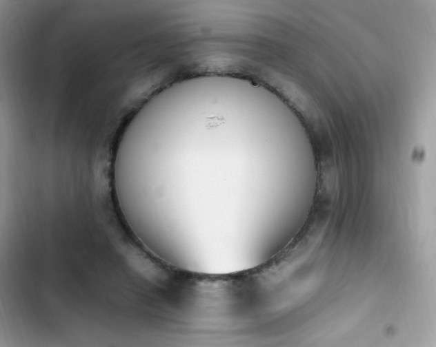 X0000103940450200809191421