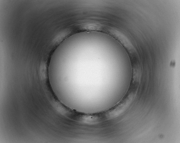 X0000103940453200809191421