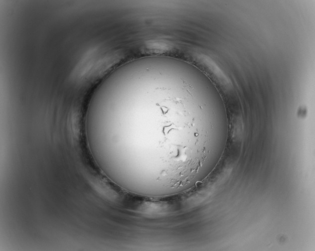 X0000103940455200809191421