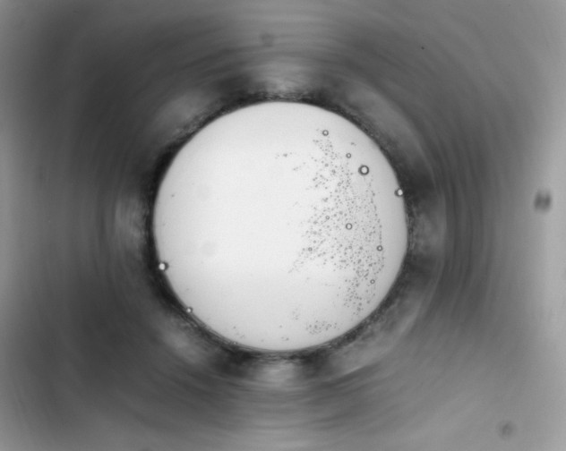 X0000103940456200809191421