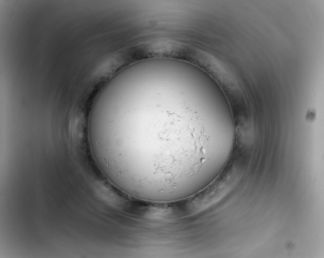X0000103940458200809191421