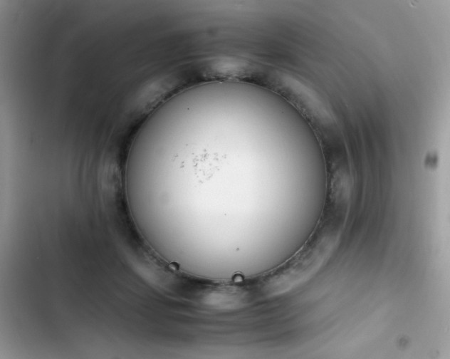 X0000103940459200809191421