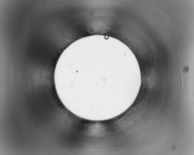 X0000103940460200809191421