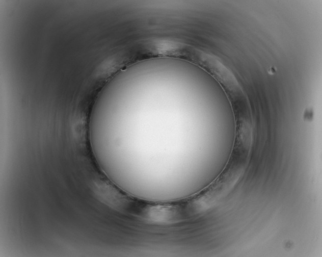 X0000103940461200809191421