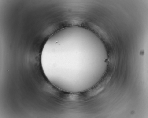 X0000103940462200809191421