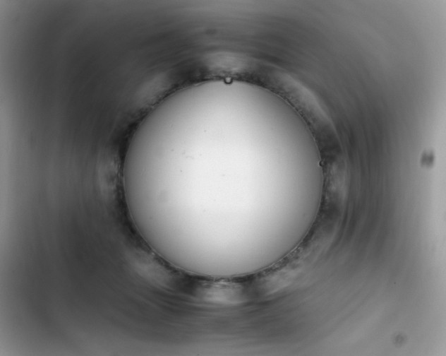 X0000103940463200809191421