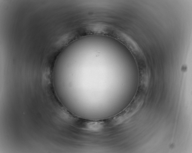 X0000103940465200809191421