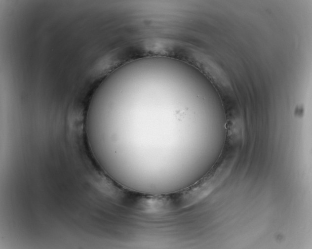 X0000103940466200809191421