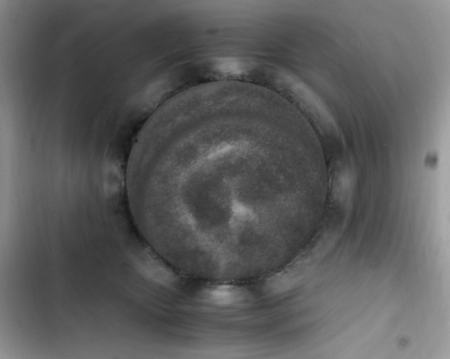 X0000103940467200809191421