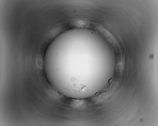 X0000103940469200809191421