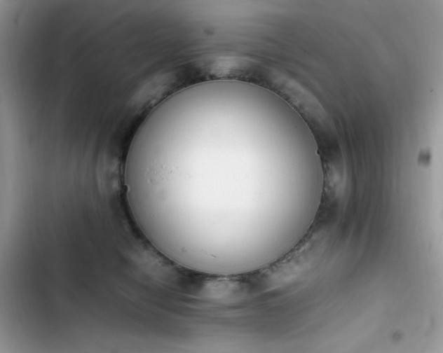 X0000103940470200809191421