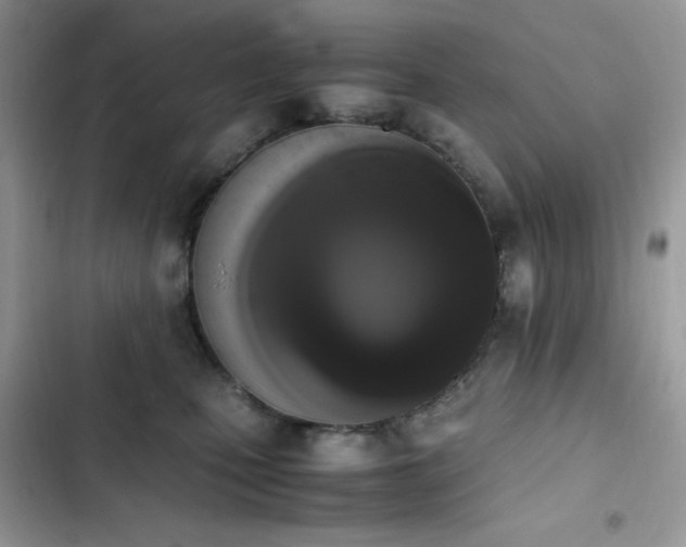 X0000103940471200809191421