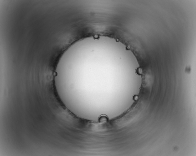 X0000103940472200809191421